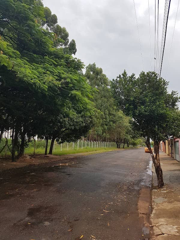 Parque dos Eucaliptos - Image 2