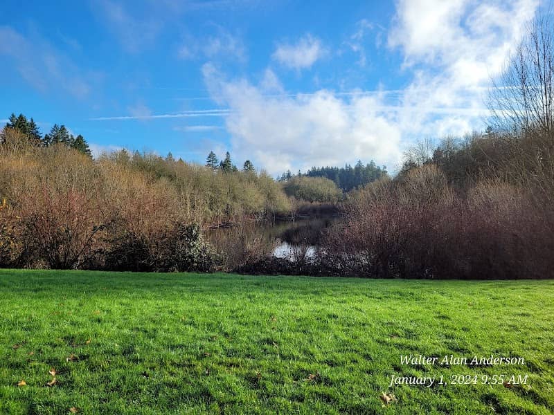 Rood Bridge Park - Image 1