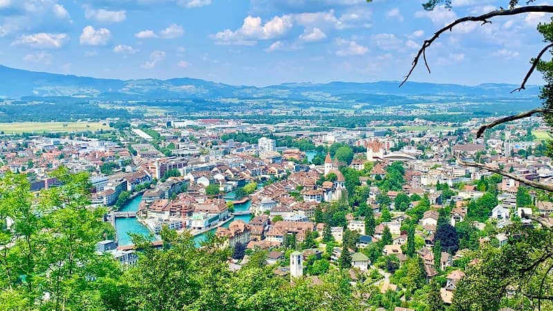 Grüsisbergwald /Sightseeing Thun - Image 1