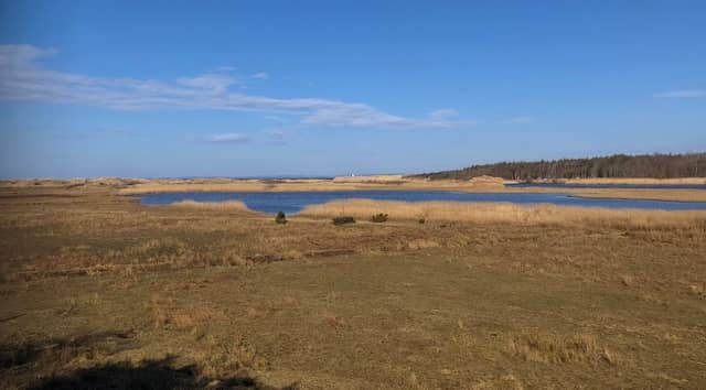 Fågeltorn - Image 2
