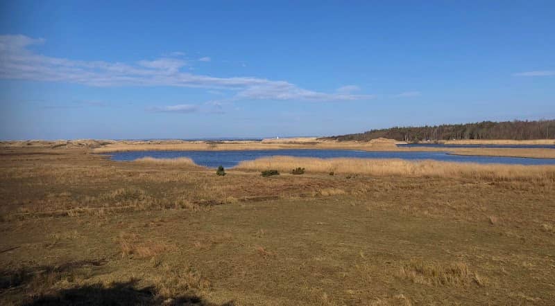 Fågeltorn - Image 2