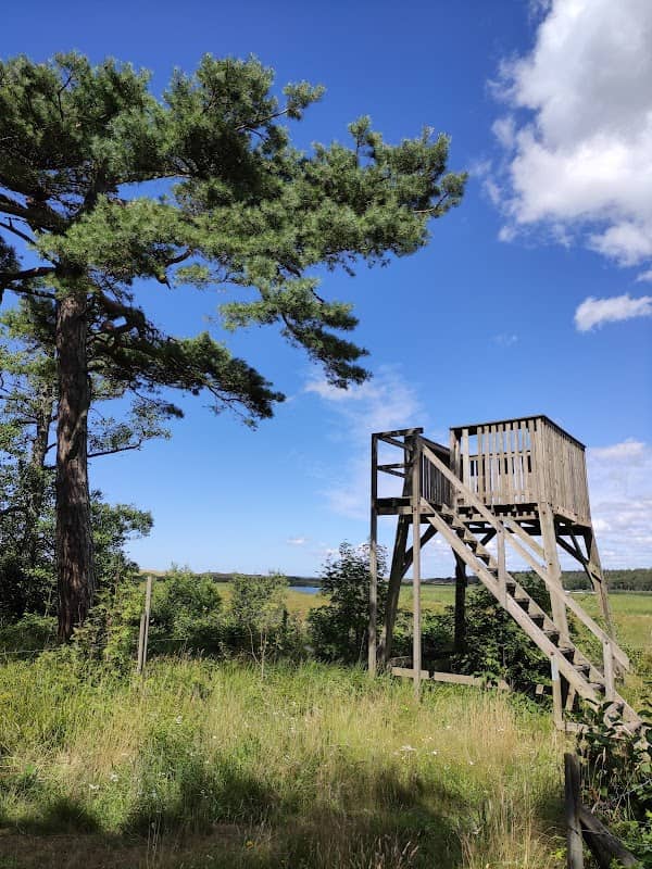 Fågeltorn - Image 1