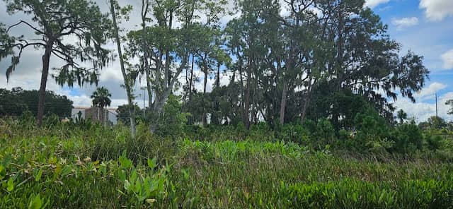 Lake Conine Nature Park - Image 1