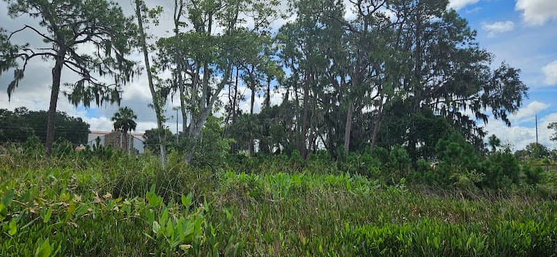 Lake Conine Nature Park - Image 1