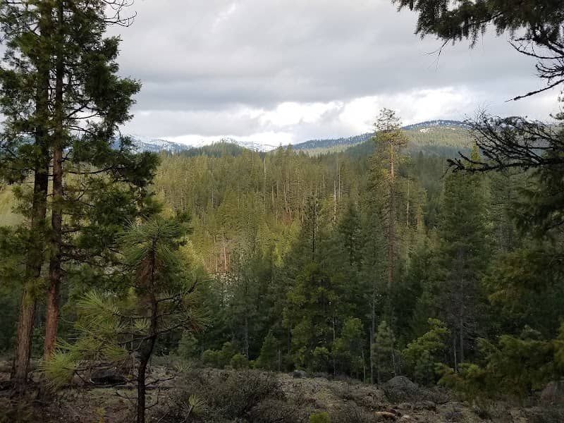 Preacher Meadow Campground - Image 1