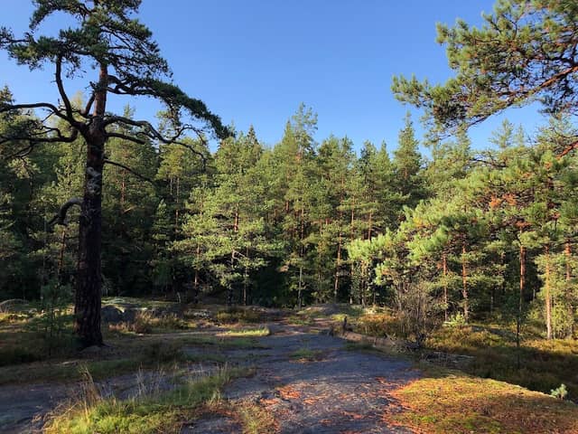 Espoo Central Park - Image 1