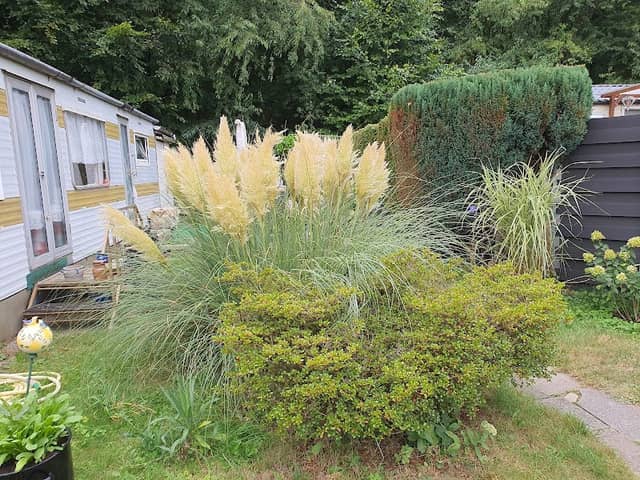 De Krosselt - Image 1