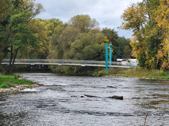 Carl Zeiss Brücke - Image 2