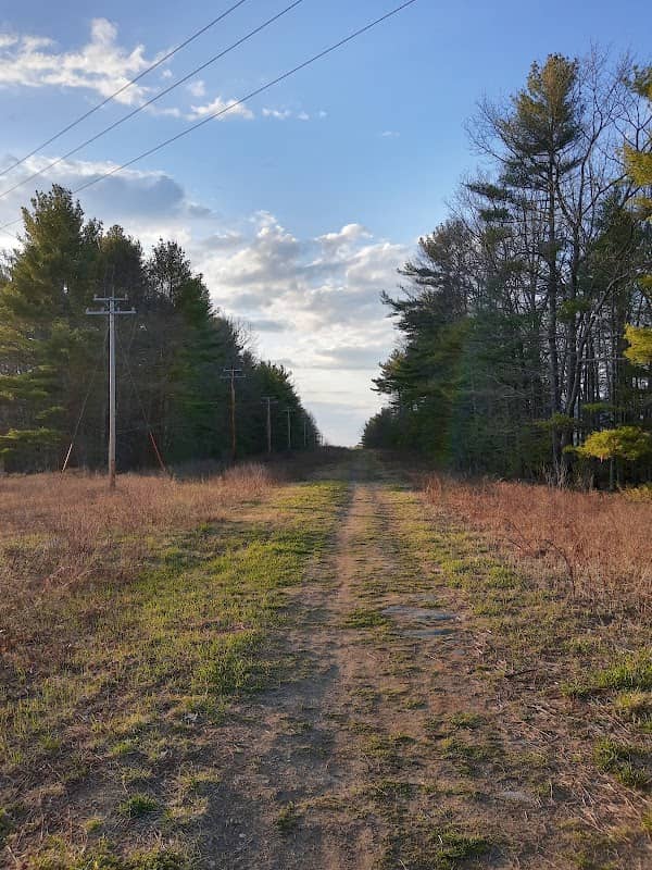 Westbrook City Forest - Image 2
