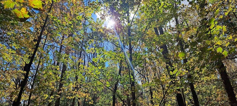 Westbrook City Forest - Image 1