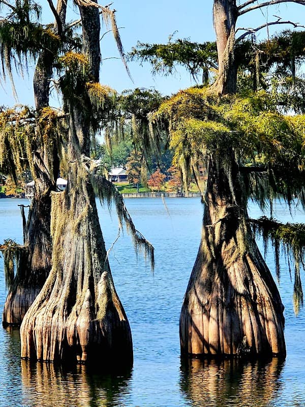 Lake Bruin State Park - Image 1