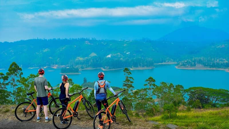 The Tea Loops - E-Biking - Image 1