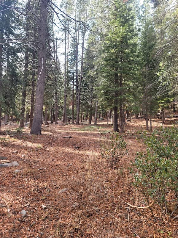 Nature Loop - Image 1
