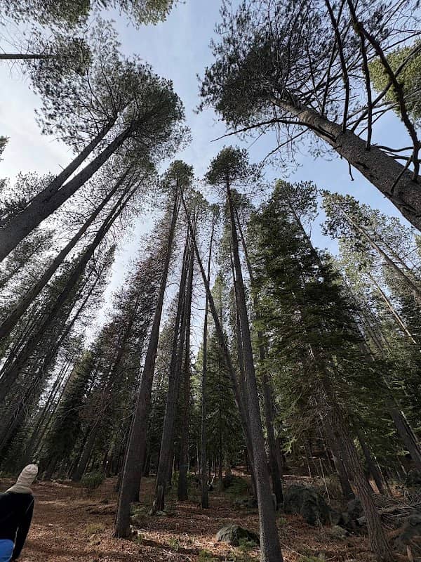 Nature Loop - Image 2