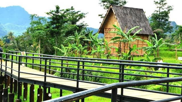 Kampung Budaya Padi Pandan Wangi - Image 1