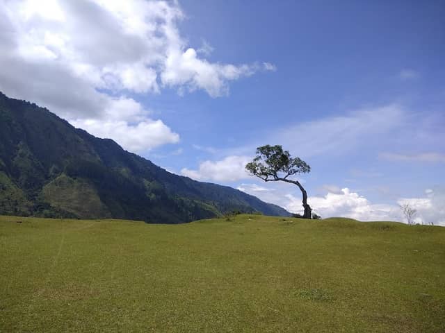Bukit Beta Tuk-tuk - Image 1
