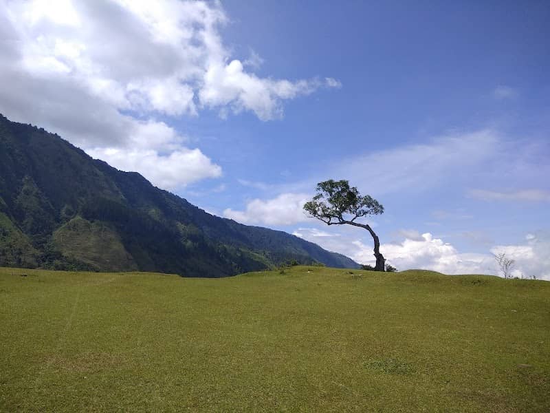 Bukit Beta Tuk-tuk - Image 1