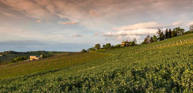 Tenuta Ballerio - Quvestra - Image 1