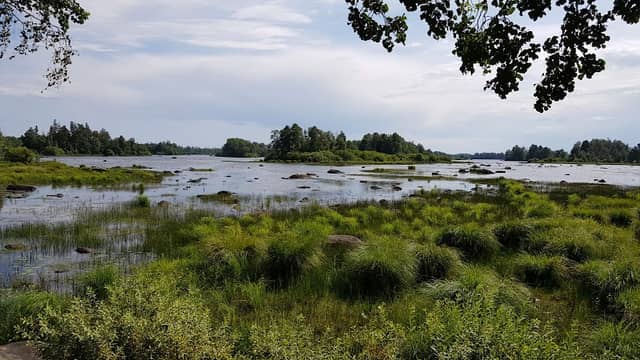Höö nature reserve - Image 1