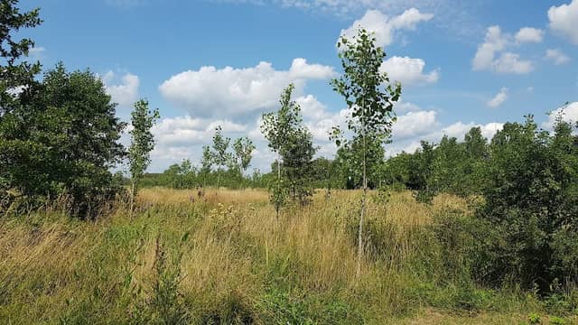 Oranjewoud OCP - Image 1