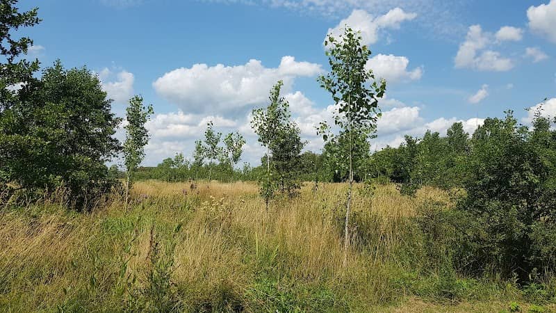 Oranjewoud OCP - Image 1