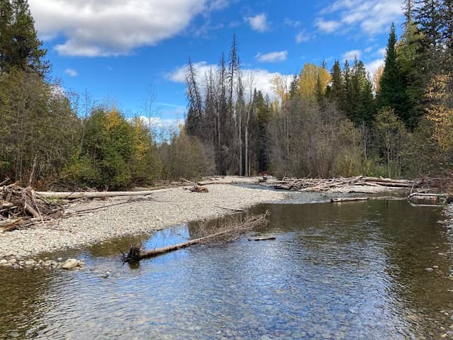 Wycliffe Regional Park - Image 1