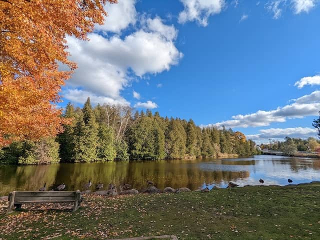 Waterside Park - Image 2