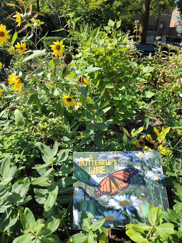 Moehling Park - Image 2