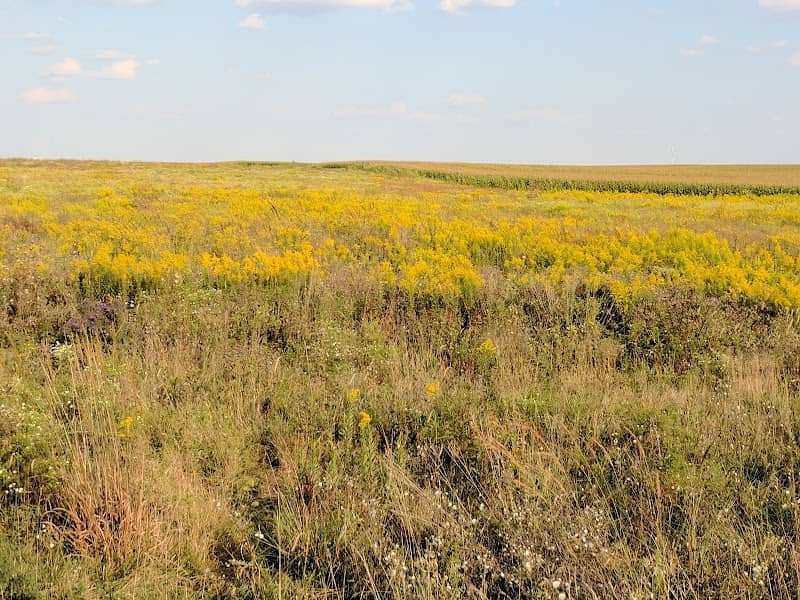 Prairie Bluff Preserve - Image 2