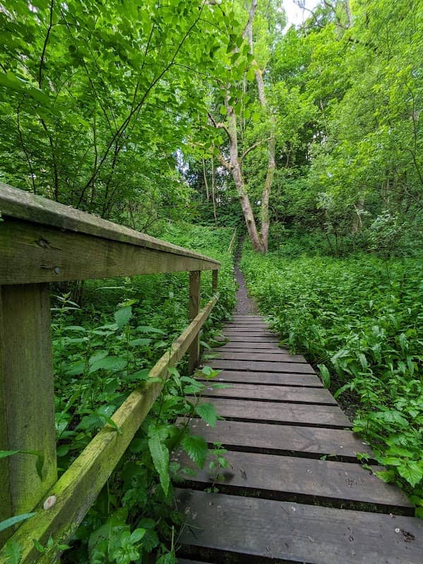 Rye Haugh Walking Route - Image 1