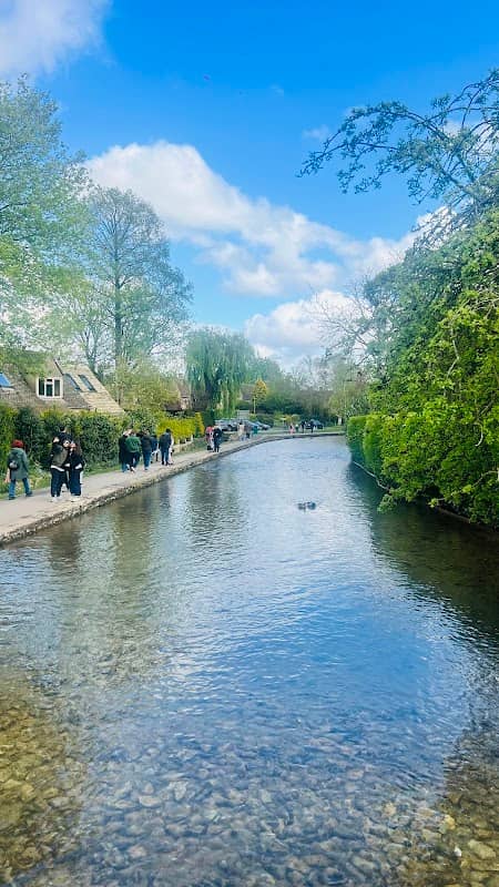 Bourton on the Waters Famous Camel Bush - Image 1