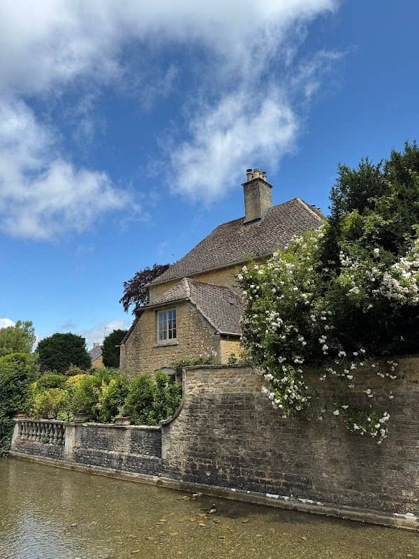 Bourton on the Waters Famous Camel Bush - Image 3