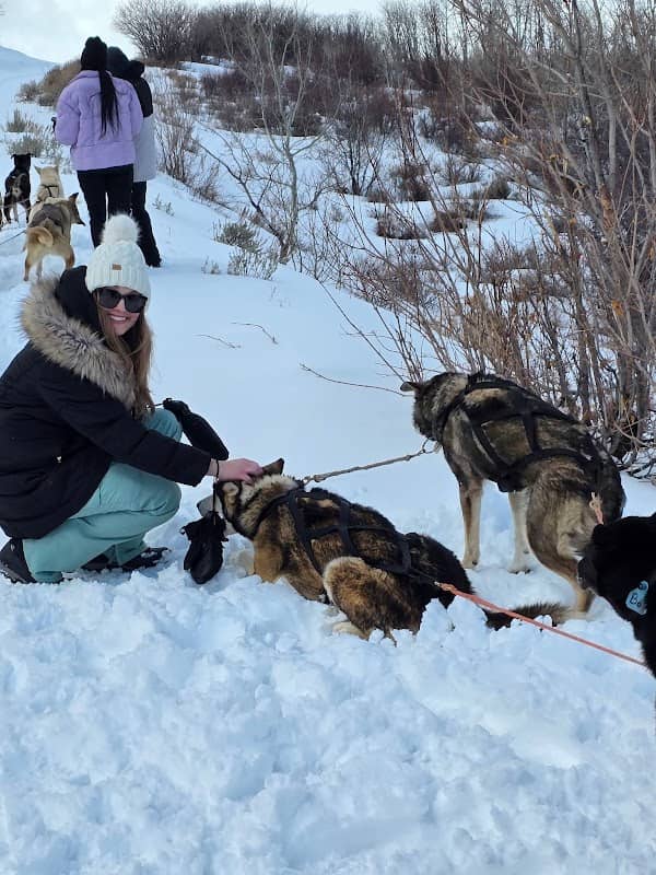 Bear Ridge Adventures (Dog Sledding) - Image 1