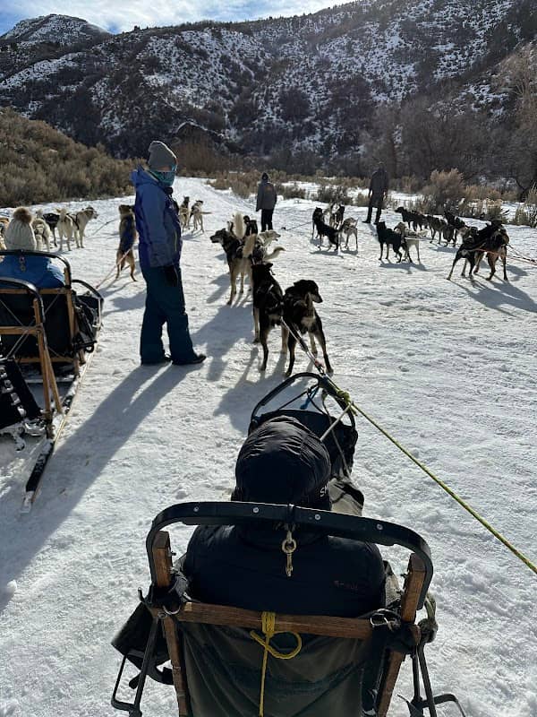 Bear Ridge Adventures (Dog Sledding) - Image 2