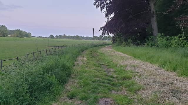Blankney Stepping Out - Image 1