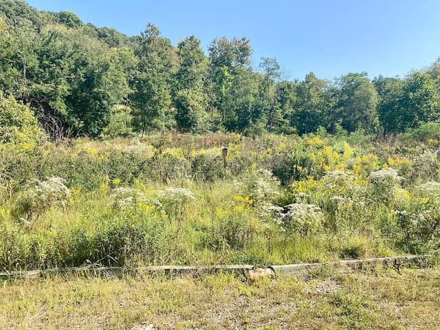 Kirby Nature Center - Image 2