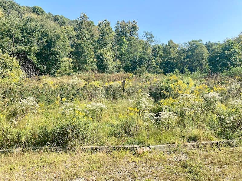 Kirby Nature Center - Image 2