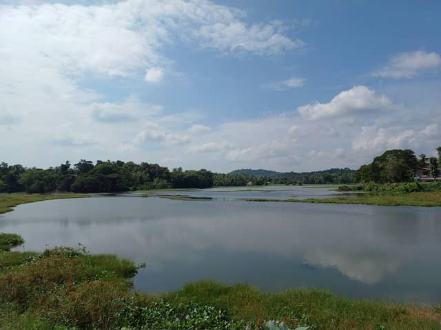 Puwakdandawa Wewa - Image 1