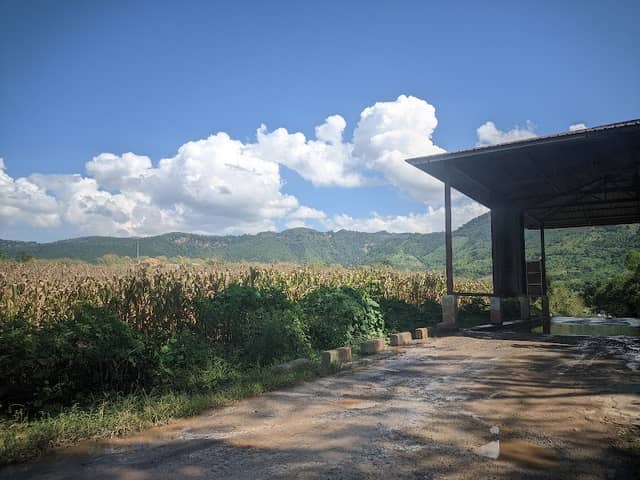 လေးလမ်းဆုံ (ရွှေညောင်-ထီရီး(မွေးမြူရေးဇုန်)-လင်ကွင်း-ညိုမီး-လေးမိုင်ကွေ့ လမ်း(ကျေးလက်လမ်း)) - Image 1