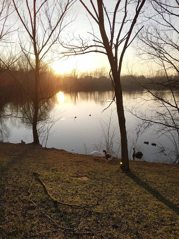 Parco Comunale - Image 1