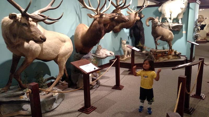 The Children’s Museum of Northeast Montana - Image 1