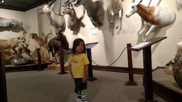 The Children’s Museum of Northeast Montana - Image 2