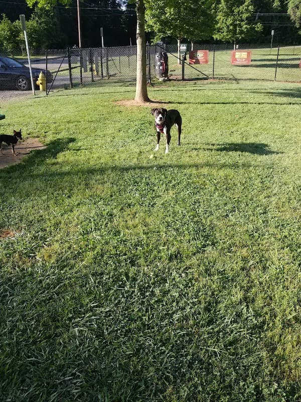 Canton Paw Park - Image 1