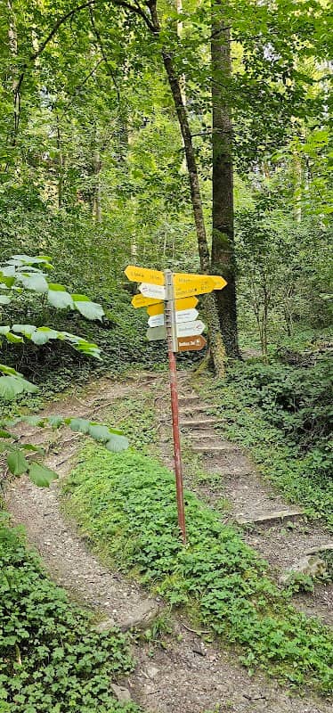 Altstätter Wasserfälle - Image 1
