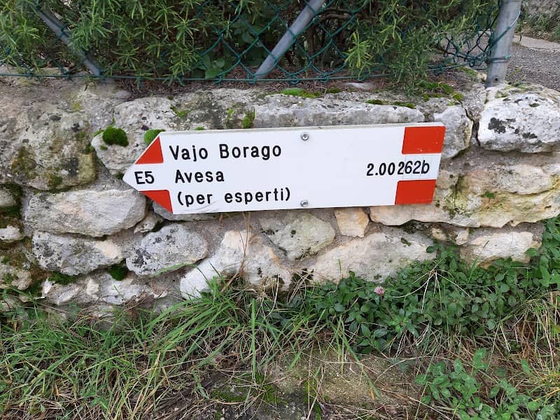 Vajo Borago - Image 1