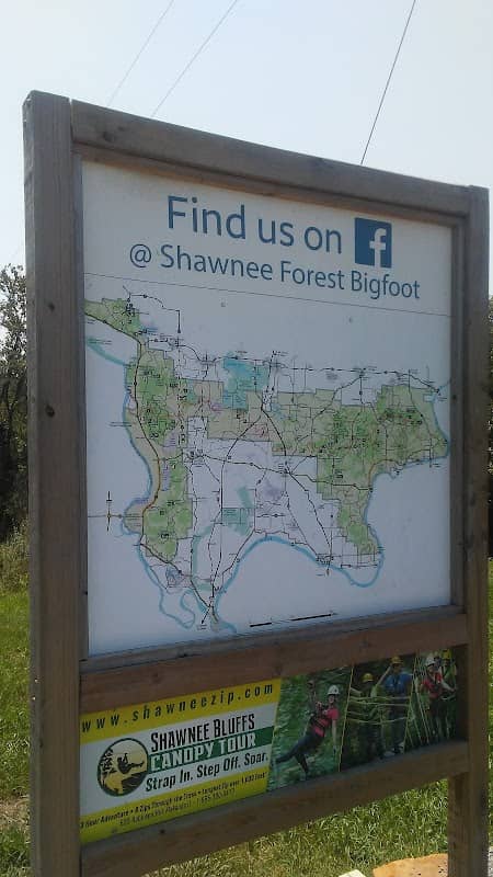 Shawnee Bigfoot Statue - Image 2
