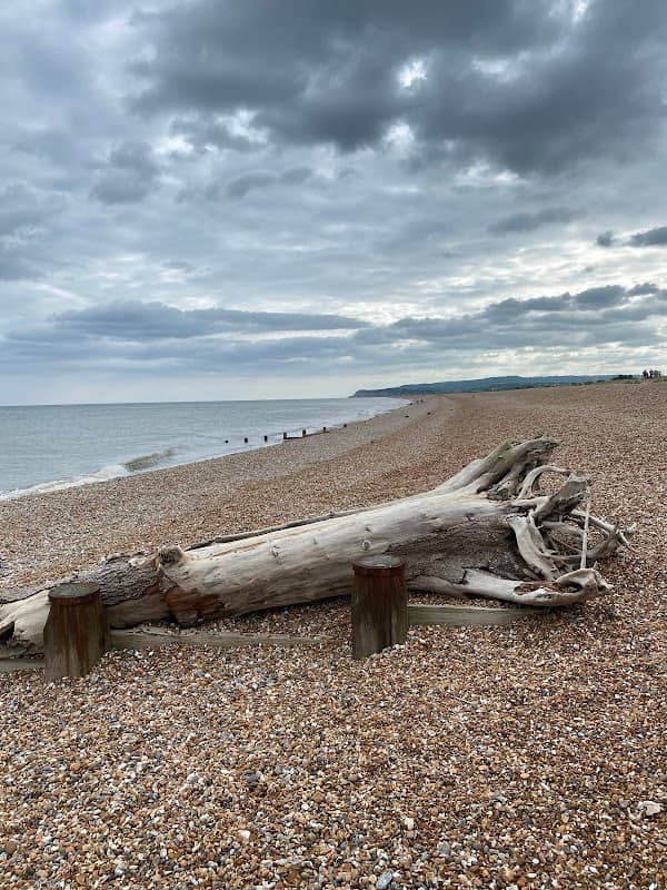 Dogs Hill Road End, Winchelsea Beach - Image 1