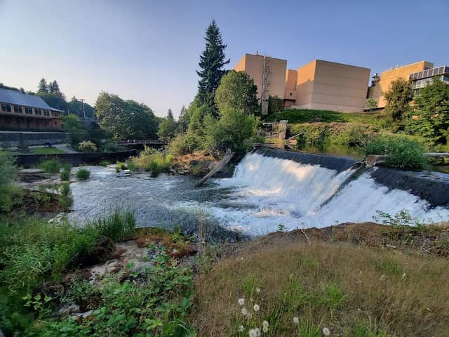 Brewery Park at Tumwater Falls - Image 2