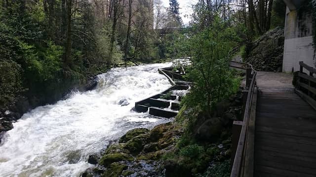 Brewery Park at Tumwater Falls - Image 3