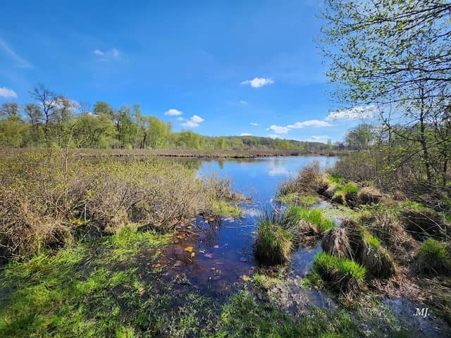 Elfenmeer - Image 1